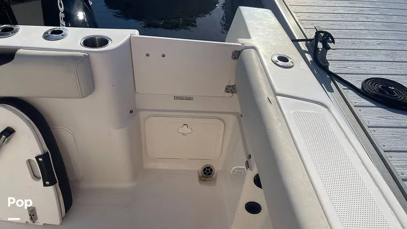 Slide: The Image of Sailfish 242 CC 2023 - 15906047