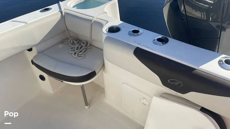 Slide: The Image of Sailfish 242 CC 2023 - 15906048