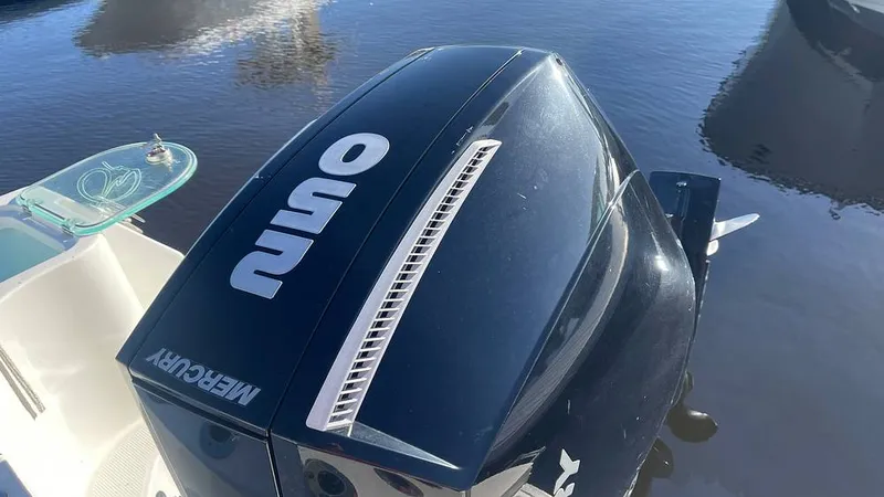 Slide: The Image of Sailfish 242 CC 2023 - 15906055