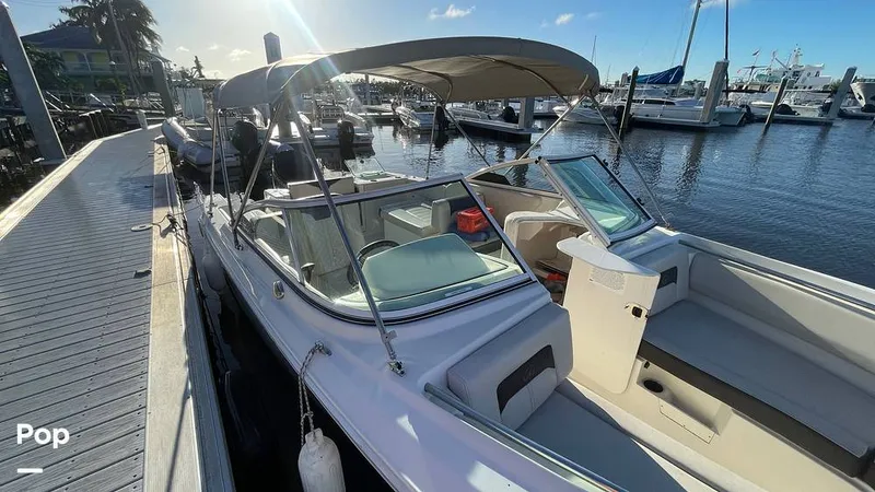 Slide: The Image of Sailfish 226 DC 2024 - 15905655