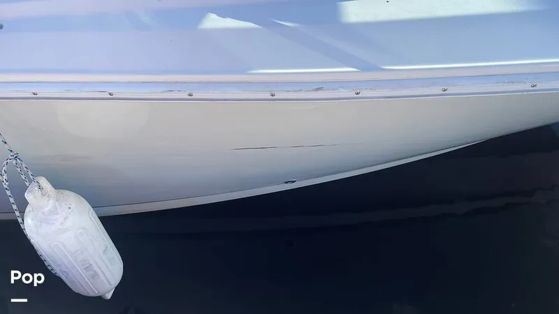 Slide: The Image of Sailfish 226 DC 2024 - 15905649