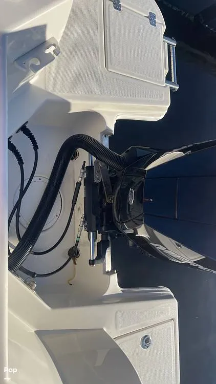 Slide: The Image of Sailfish 226 DC 2024 - 15905660