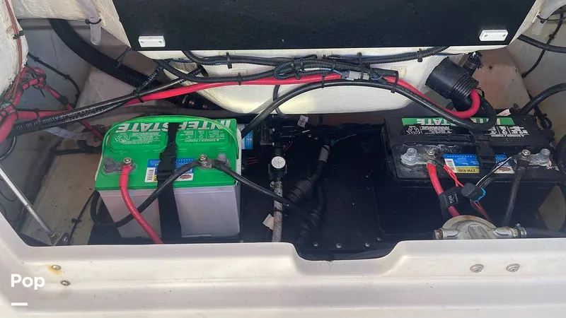 Slide: The Image of Sailfish 226 DC 2024 - 15905663