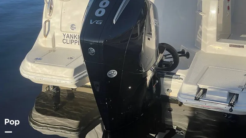 Slide: The Image of Sailfish 226 DC 2024 - 15905618