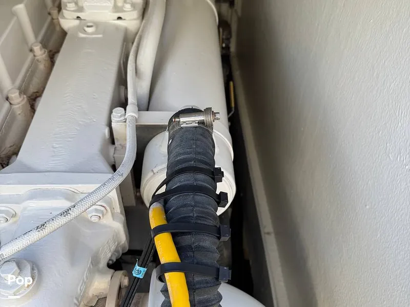 Slide: The Image of Wayne Bailey 42 1994 - 16052764