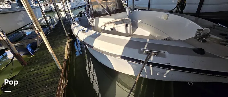 Slide: The Image of Sport-Craft 232 1989 - 15917657