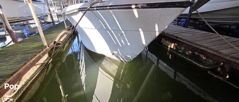 Slide: The Image of Sport-Craft 232 1989 - 15917659