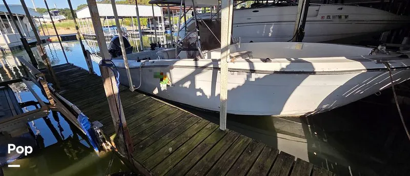 Slide: The Image of Sport-Craft 232 1989 - 15917662