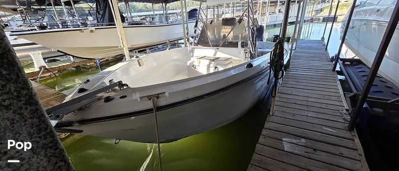 Slide: The Image of Sport-Craft 232 1989 - 15917644