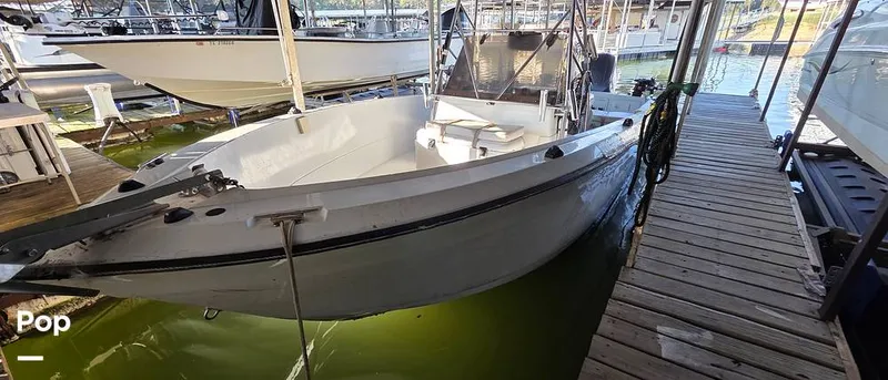 Slide: The Image of Sport-Craft 232 1989 - 15917701