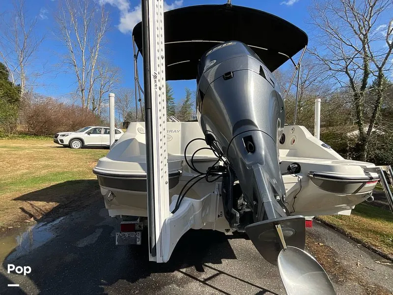 Slide: The Image of Stingray 212SC 2016 - 16084394