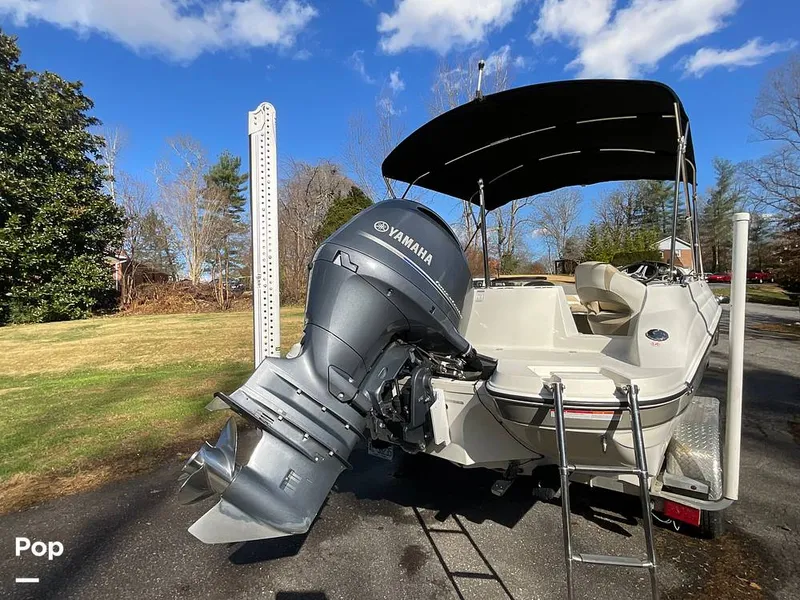 Slide: The Image of Stingray 212SC 2016 - 16084401