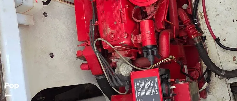 Slide: The Image of Maxum 4600 SCB 1998 - 15947093