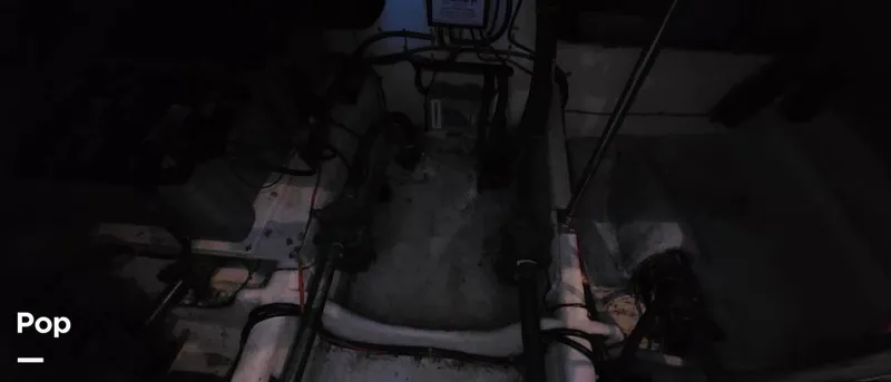 Slide: The Image of Maxum 4600 SCB 1998 - 15947096