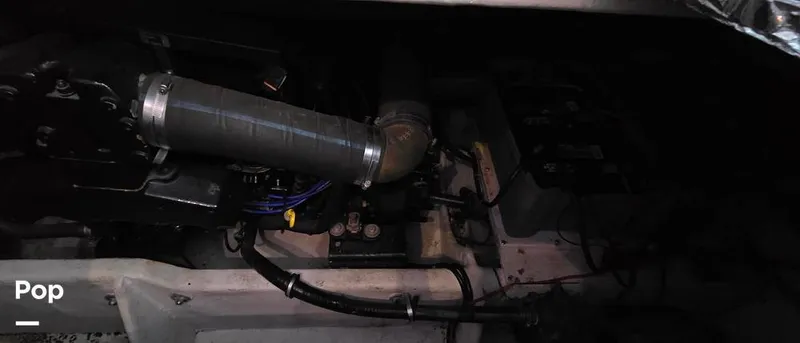 Slide: The Image of Maxum 4600 SCB 1998 - 15947097