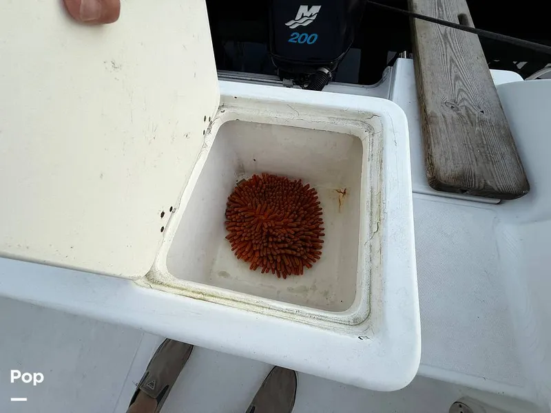 Slide: The Image of Sea Fox 287 2005 - 15948133