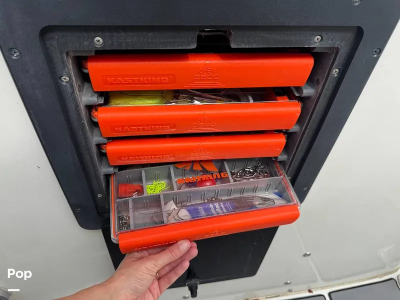 Slide: The Image of Hydra-Sports Vector 2796 CC 2000 - 15919470