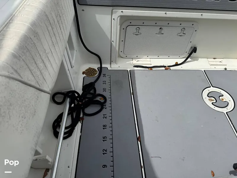 Slide: The Image of Hydra-Sports Vector 2796 CC 2000 - 15919477