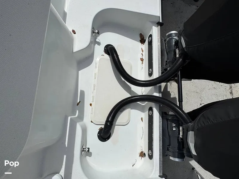 Slide: The Image of Hydra-Sports Vector 2796 CC 2000 - 15919484