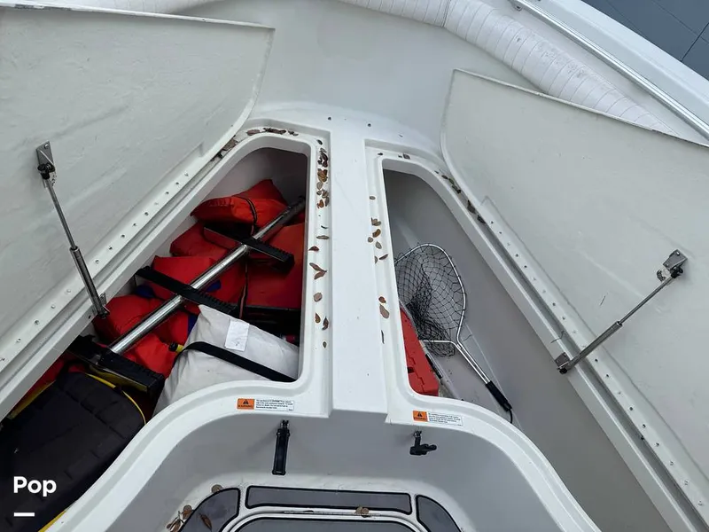 Slide: The Image of Hydra-Sports Vector 2796 CC 2000 - 15919500