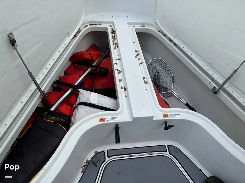 Slide: The Image of Hydra-Sports Vector 2796 CC 2000 - 15919501