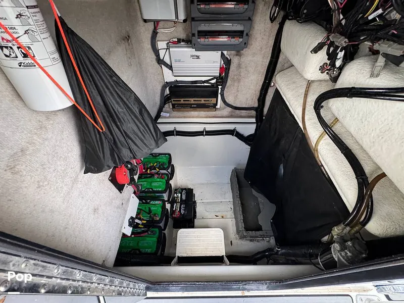 Slide: The Image of Hydra-Sports Vector 2796 CC 2000 - 15919507