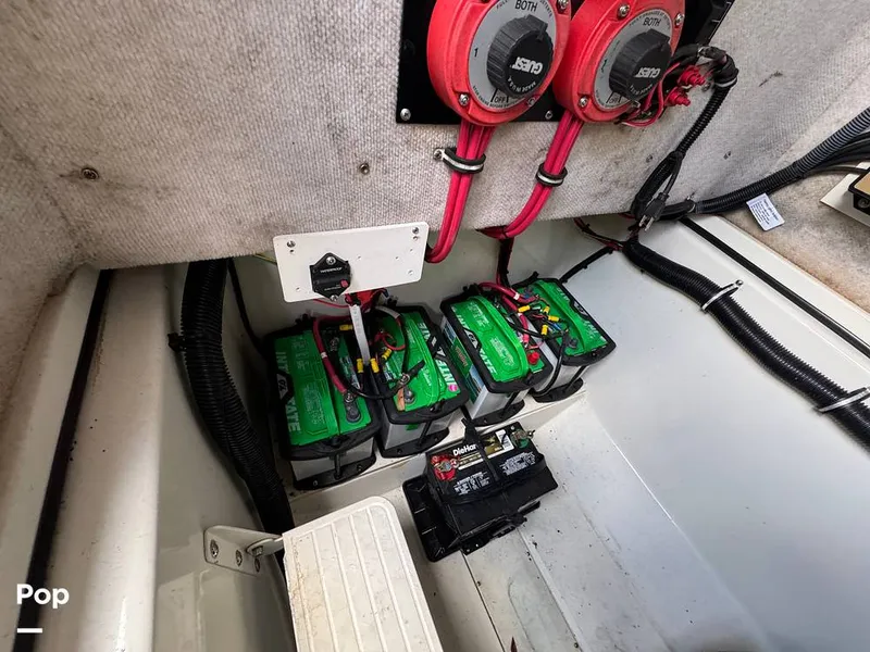 Slide: The Image of Hydra-Sports Vector 2796 CC 2000 - 15919509