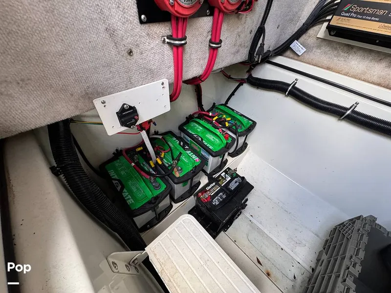 Slide: The Image of Hydra-Sports Vector 2796 CC 2000 - 15919511