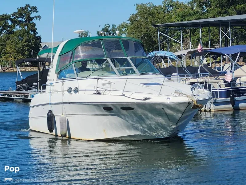 The Image of Sea Ray 310 Sundancer 2000 - 16835615