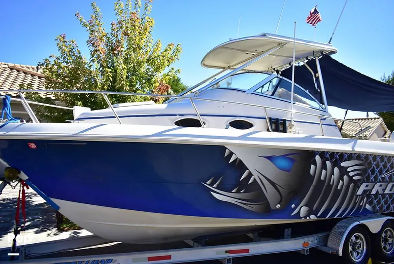 Slide: The Image of Pro-Line Walkaround 251 1995 - 15974734