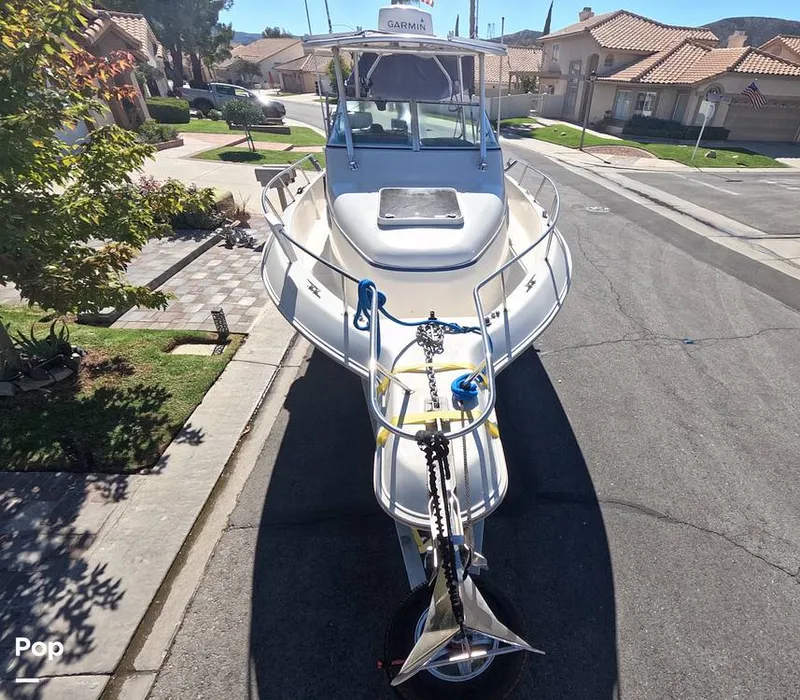 Slide: The Image of Pro-Line Walkaround 251 1995 - 15974711