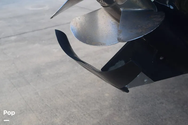 Slide: The Image of Whale Tail - 16041599