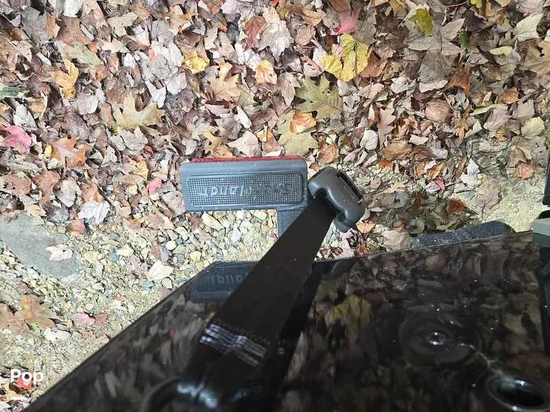 Slide: The Image of Lund 1975 Tyee 2023 - 15983038