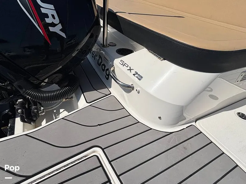 Slide: The Image of Sea Ray SPX 210 OB 2024 - 15907696