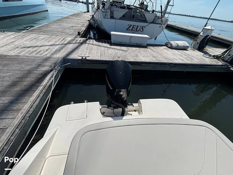 Slide: The Image of Sea Ray SPX 210 OB 2024 - 15907449