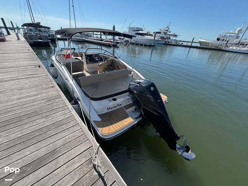 Slide: The Image of Sea Ray SPX 210 2025 - 15907381