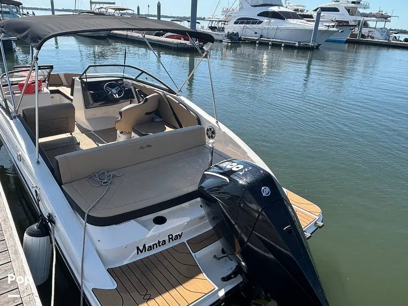 Slide: The Image of Sea Ray SPX 210 2025 - 15907384