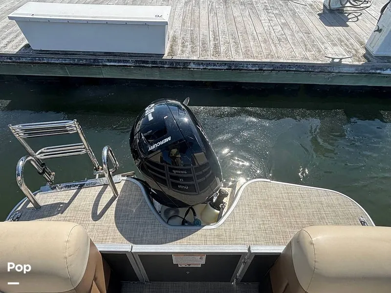 Slide: The Image of Lowe SS 230W 2024 - 15907229