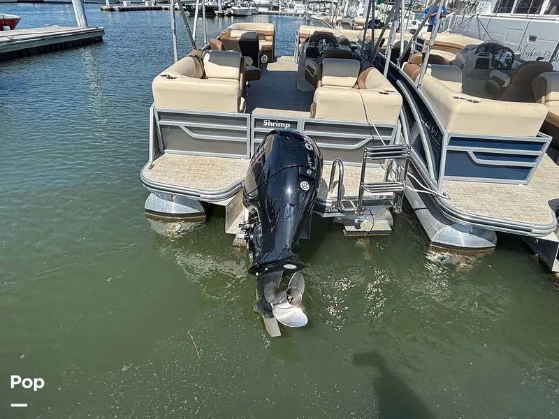 Slide: The Image of Lowe SS 230W 2024 - 15907231