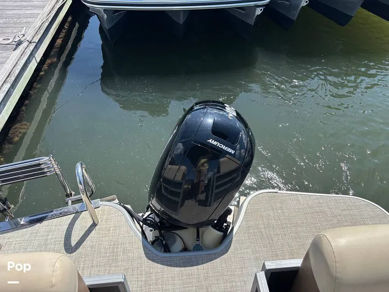 Slide: The Image of Lowe SS 230W 2024 - 15907173