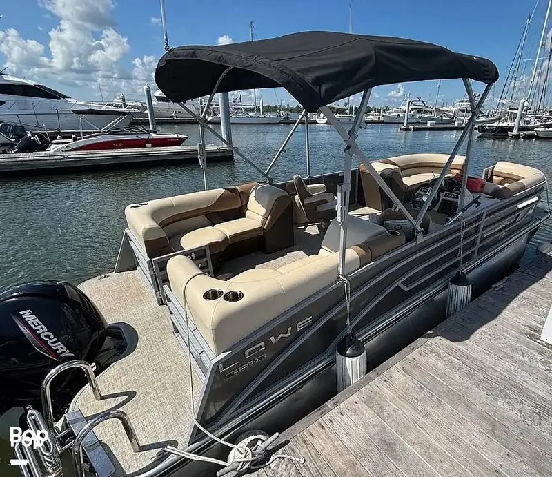 Slide: The Image of Lowe SS 230W 2024 - 15911384