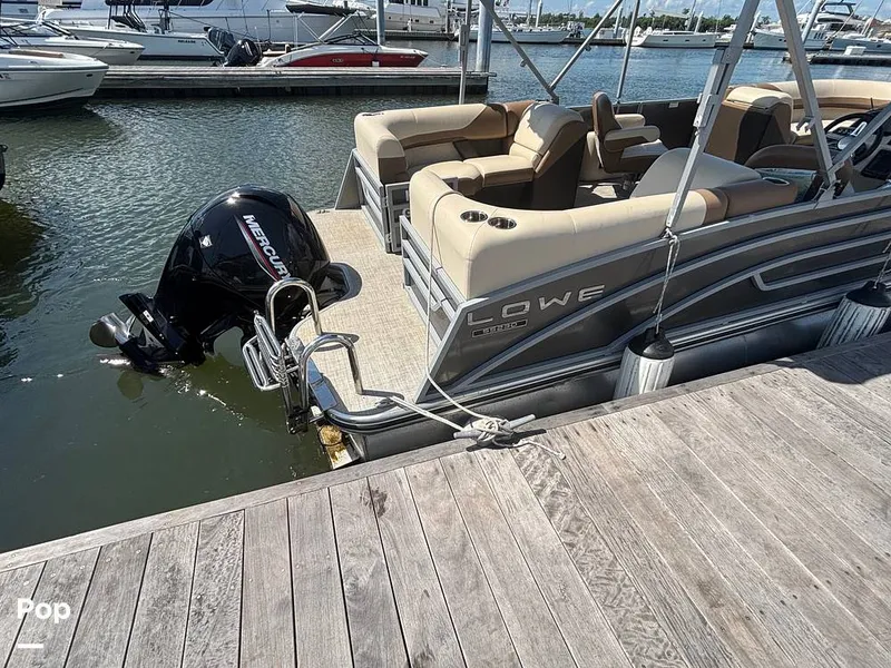 Slide: The Image of Lowe SS 230W 2024 - 15907179