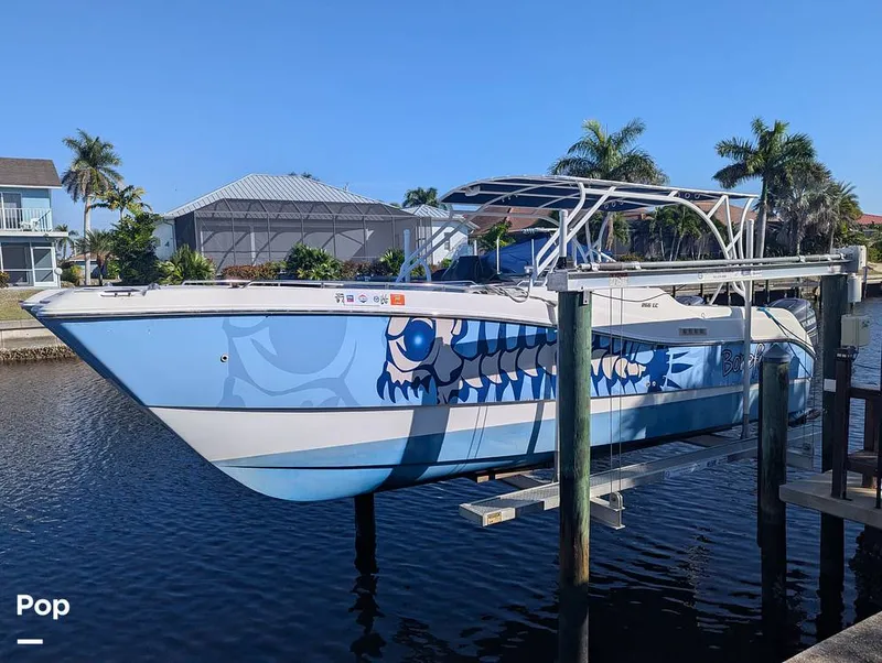 The Image of World Cat 266 LC 2001 - 16066326