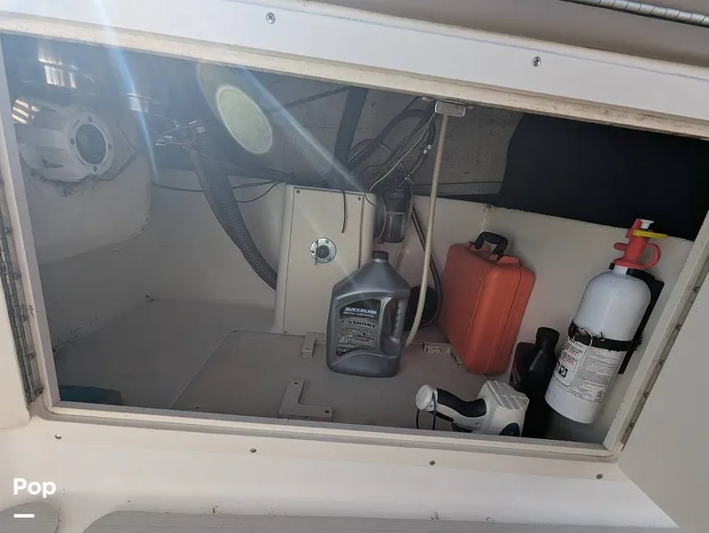 Slide: The Image of World Cat 266 LC 2001 - 16066263