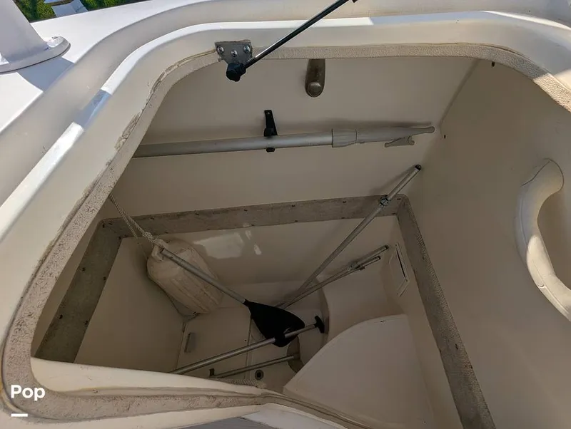 Slide: The Image of World Cat 266 LC 2001 - 16066265