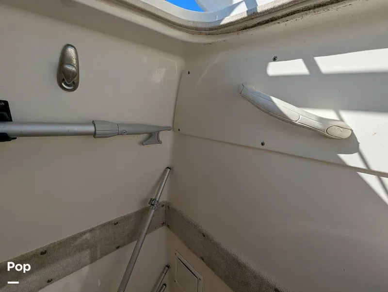 Slide: The Image of World Cat 266 LC 2001 - 16066268