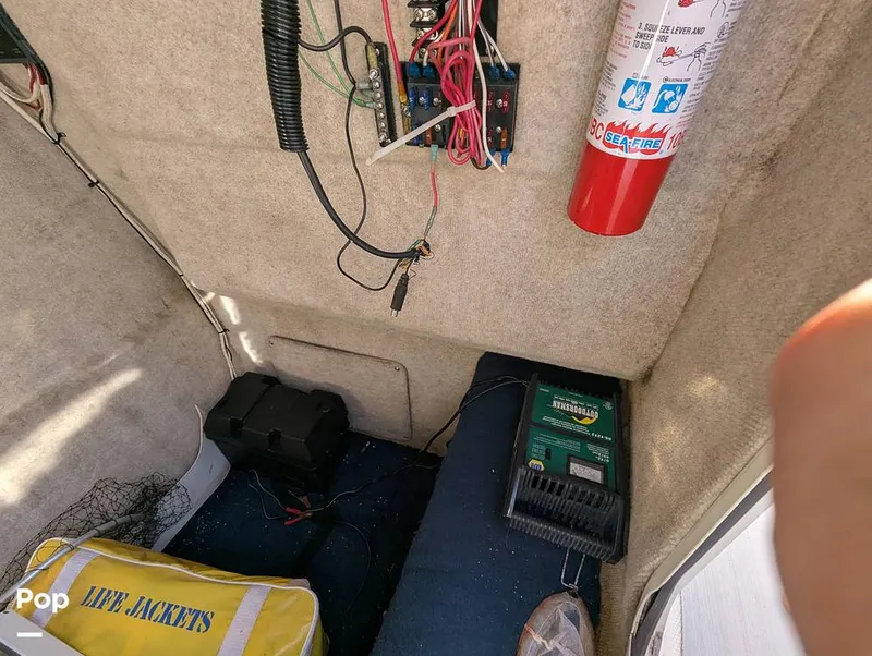 Slide: The Image of World Cat 266 LC 2001 - 16066272