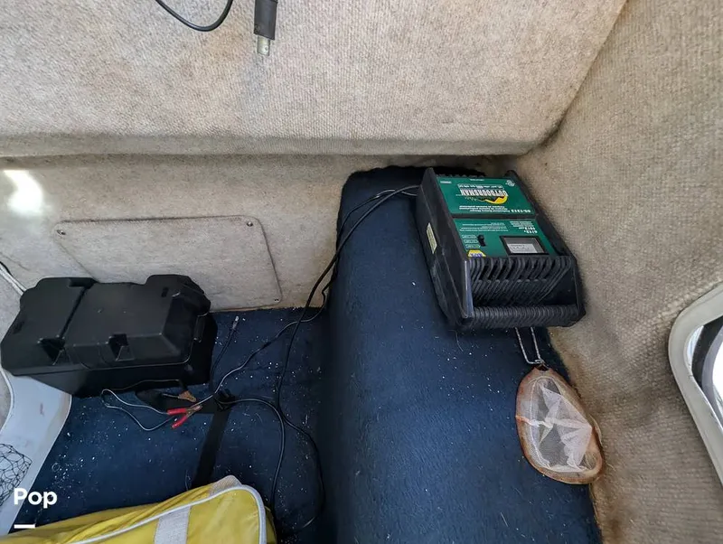 Slide: The Image of World Cat 266 LC 2001 - 16066274