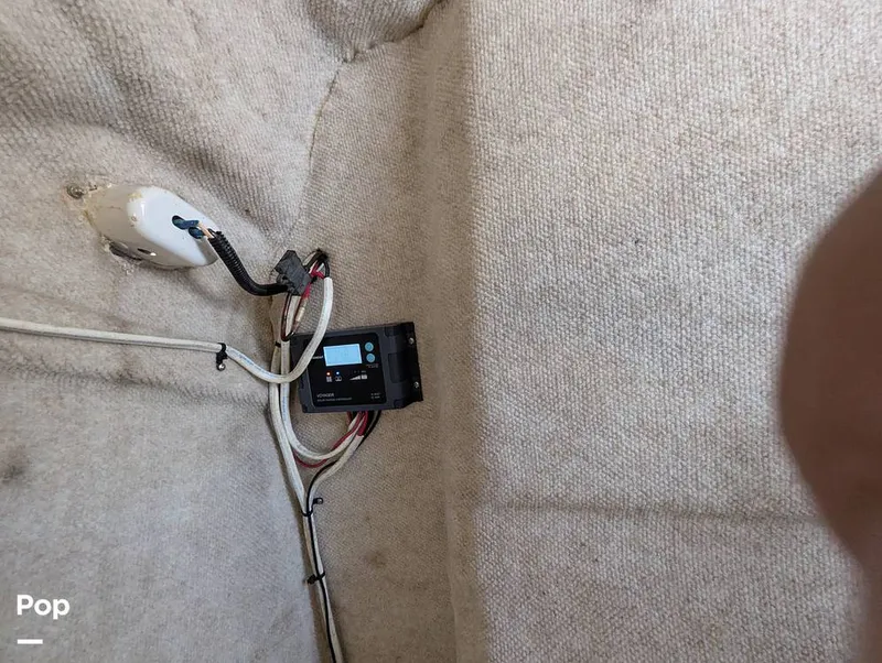 Slide: The Image of World Cat 266 LC 2001 - 16066275