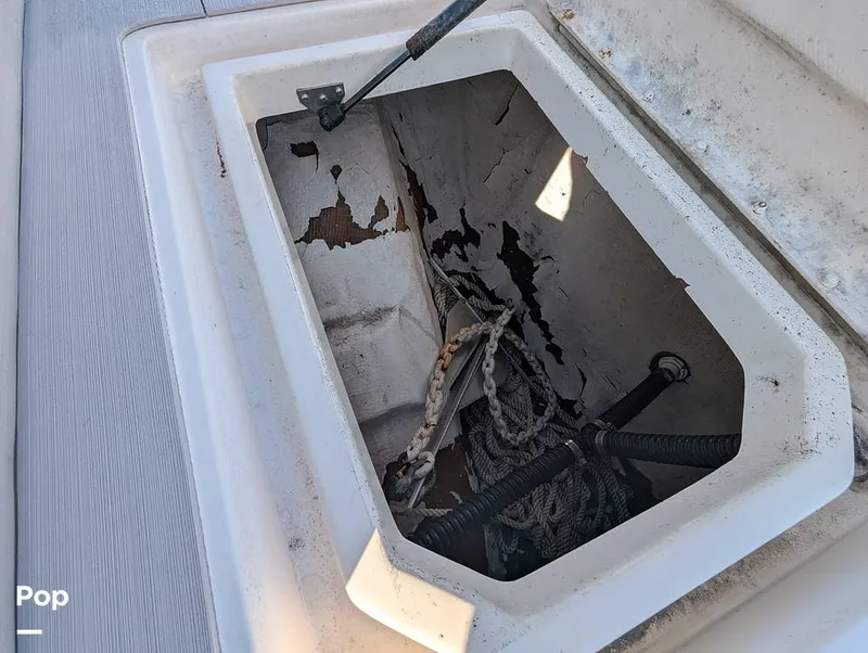 Slide: The Image of World Cat 266 LC 2001 - 16066280